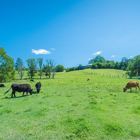 Jacaranda Creek Farmstay & B&B Sunshine Coast Dış mekan fotoğraf