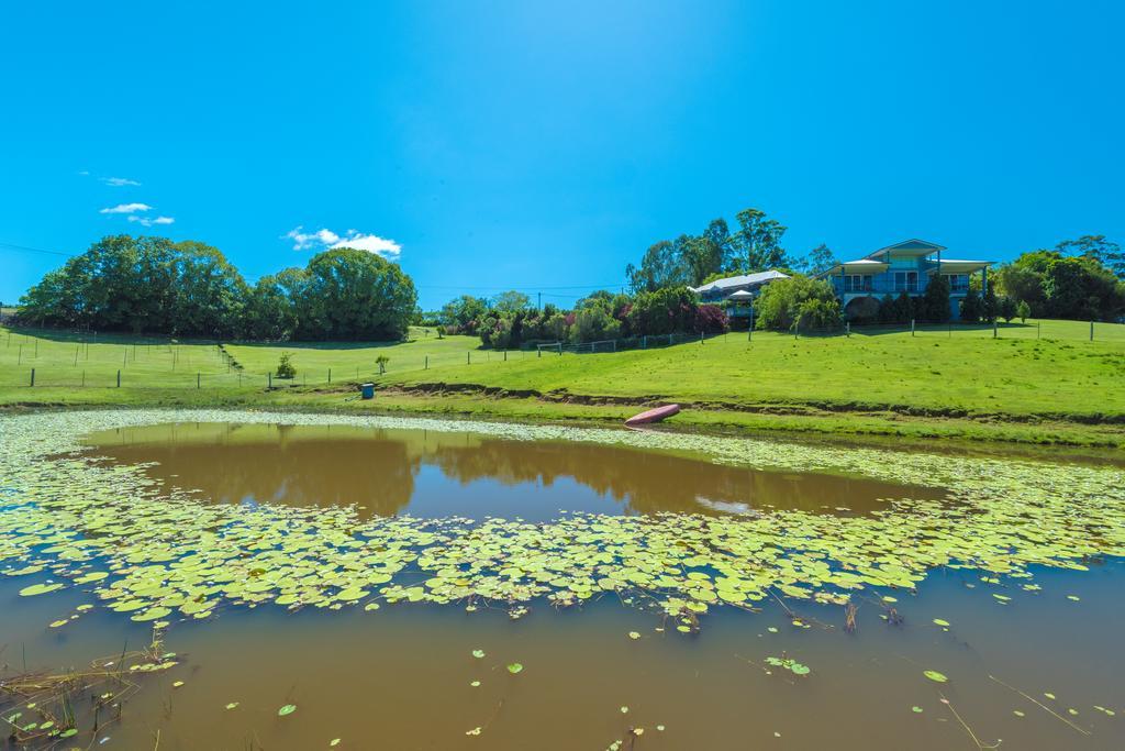 Jacaranda Creek Farmstay & B&B Sunshine Coast Dış mekan fotoğraf